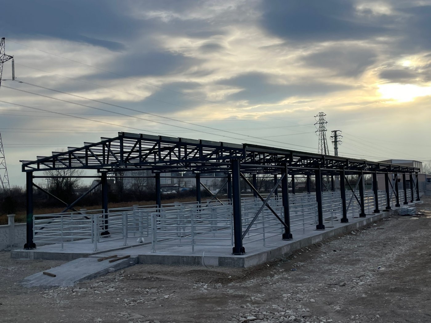 Akyazı Hayvan Borsası